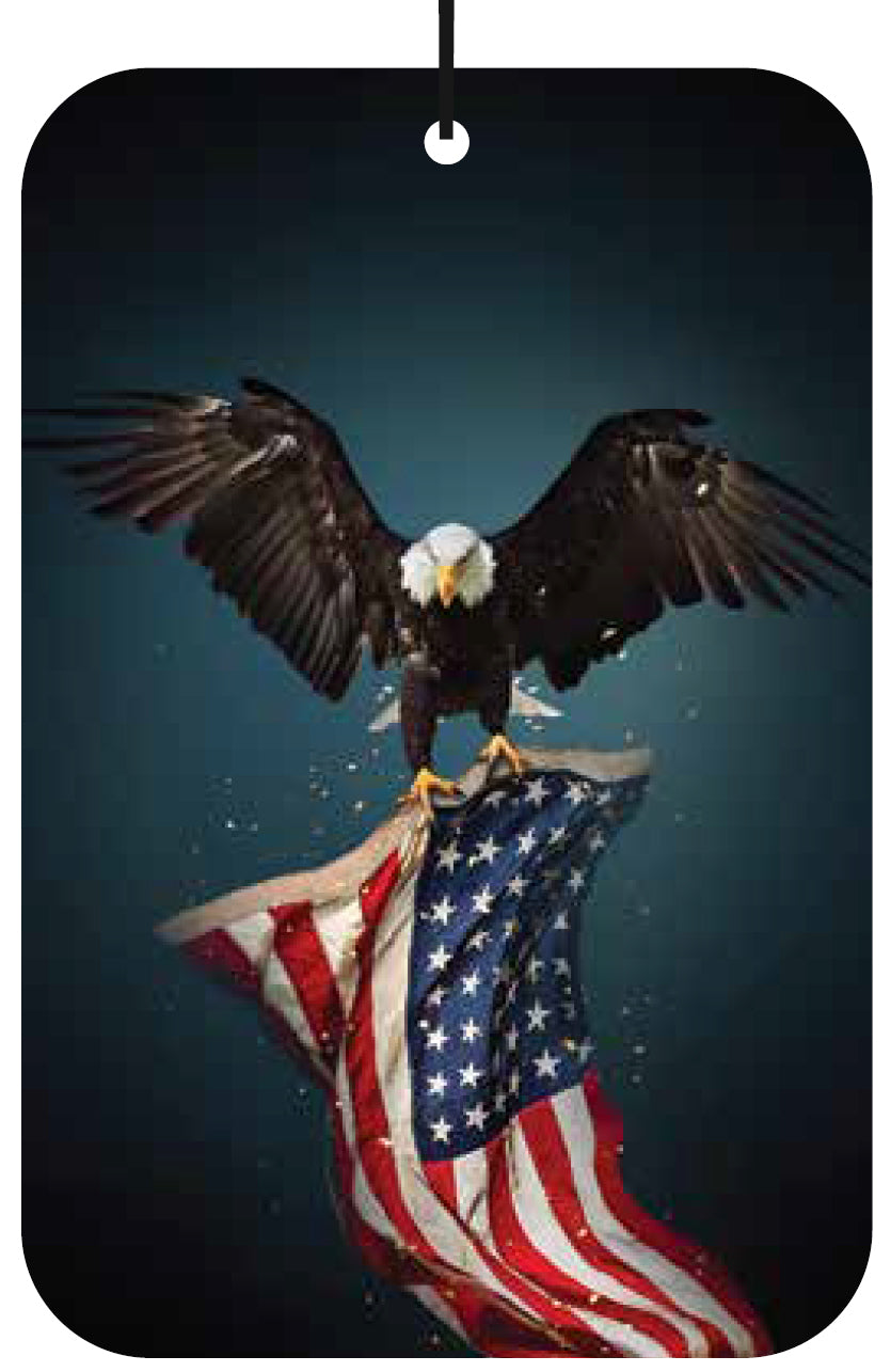 USA Flag Bold Eagle