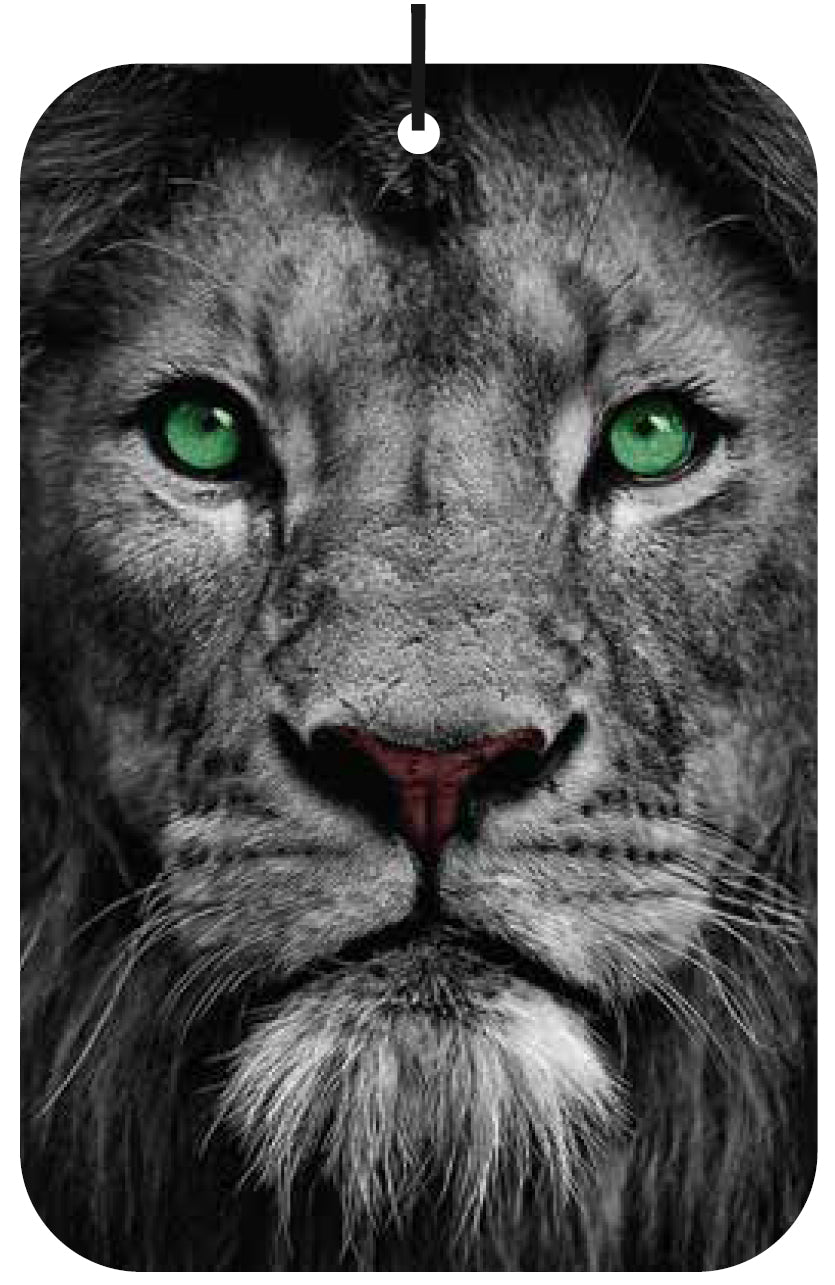 Green Eyed Lion