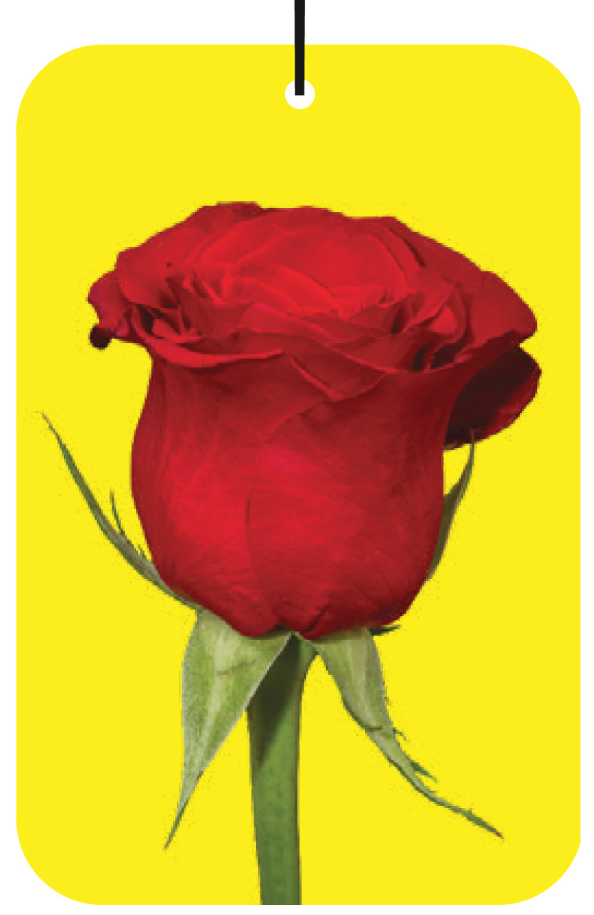 Rose Air Freshener