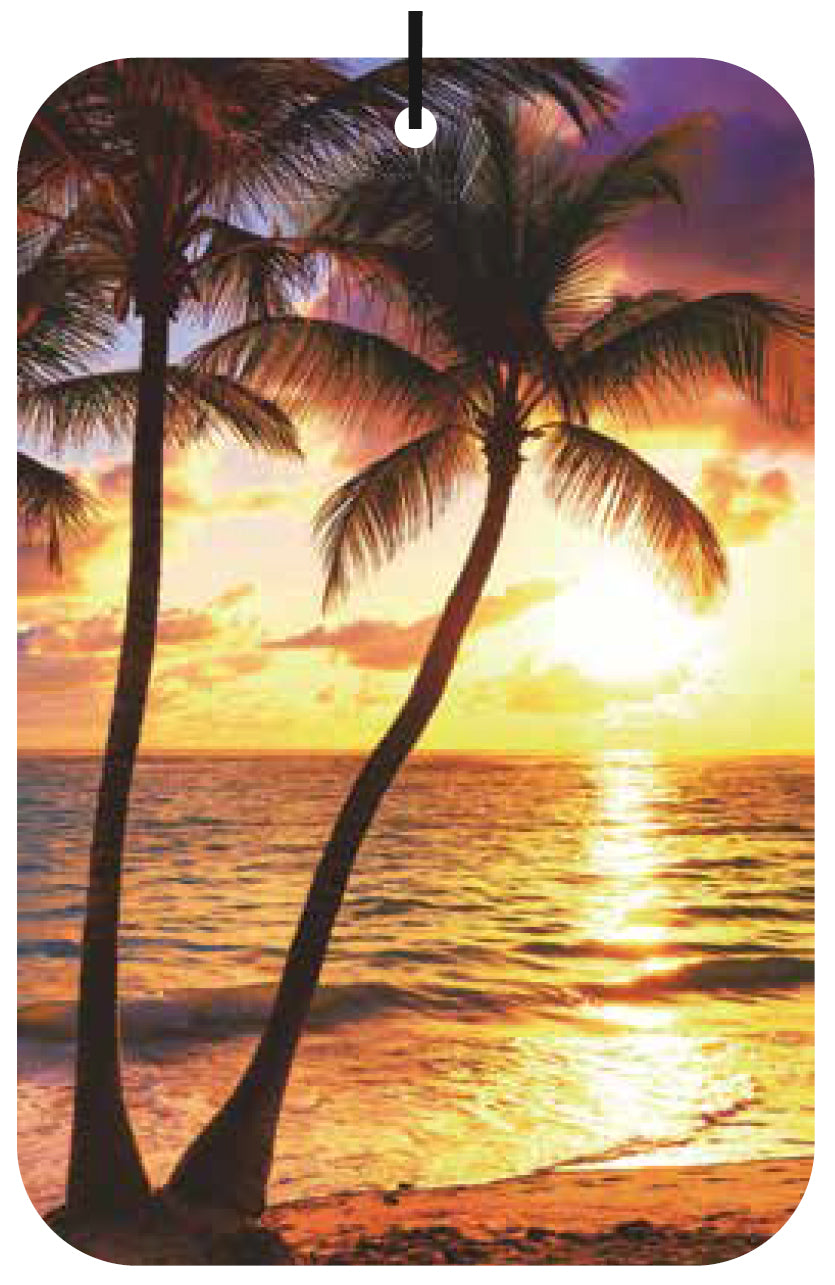 Beach - Palm Trees Air Freshener