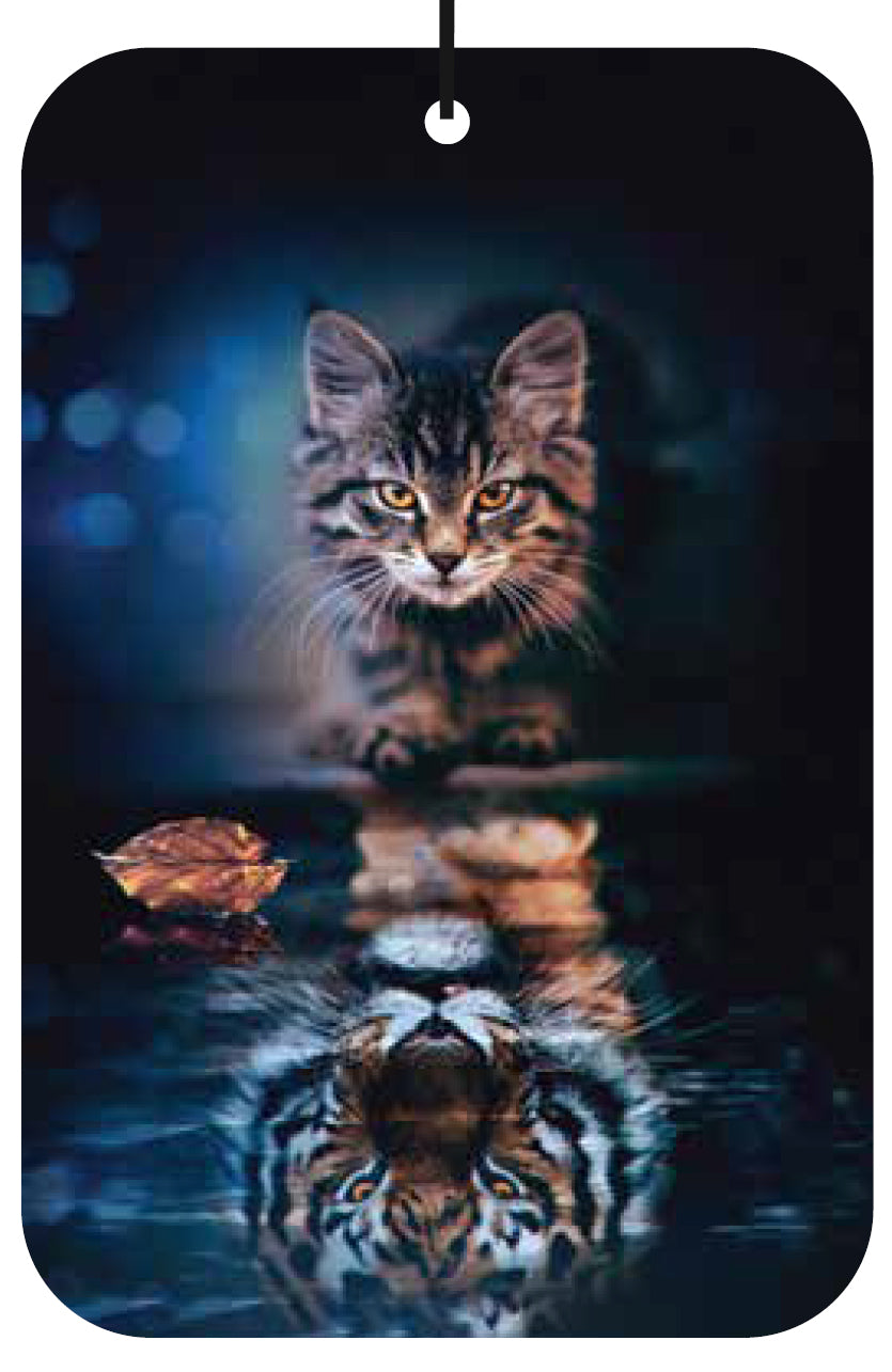 Cat-Tiger reflection Air Freshener